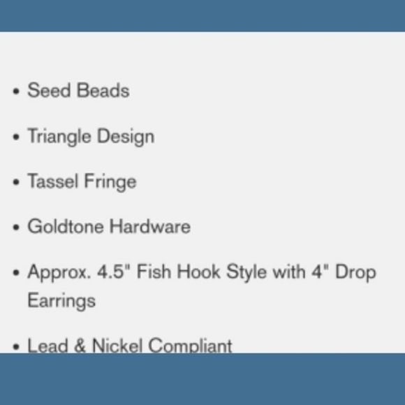 💣LAST 1🌈 Turquoise blue Daisy Flower Seed bead fringe earrings boho hippie - Picture 7 of 7